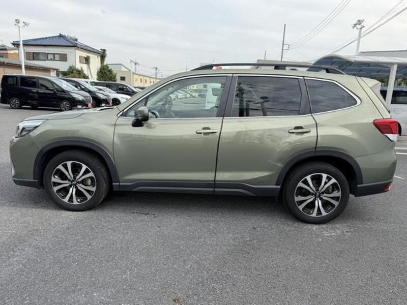 FORESTER