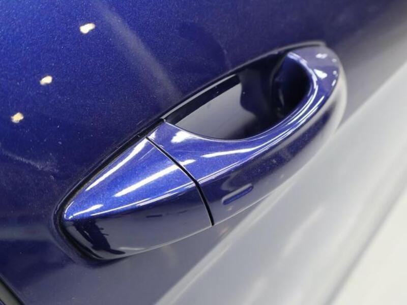 GOLF VARIANT