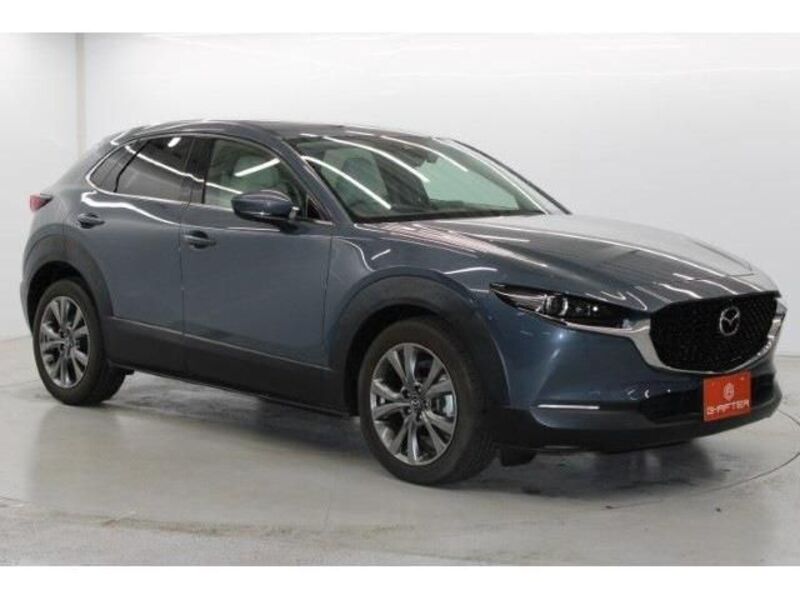 CX-30