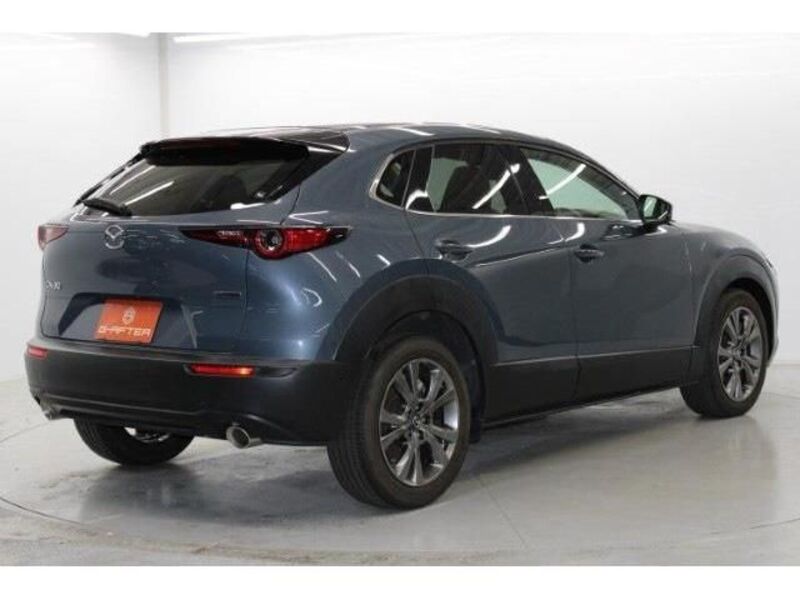 CX-30