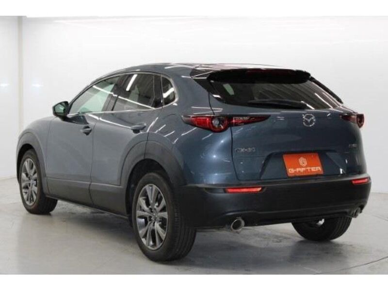 CX-30