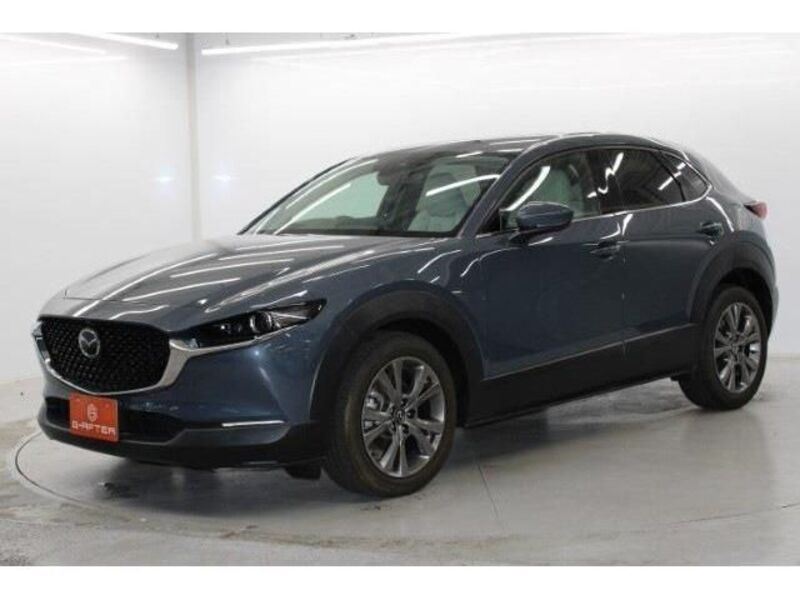 CX-30