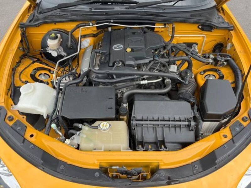 ROADSTER