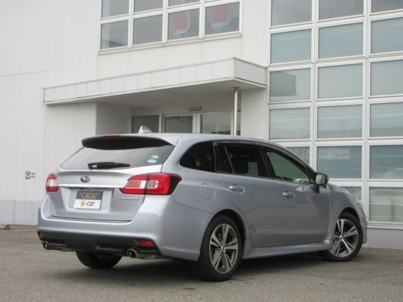 LEVORG