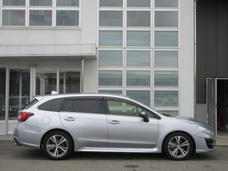 LEVORG