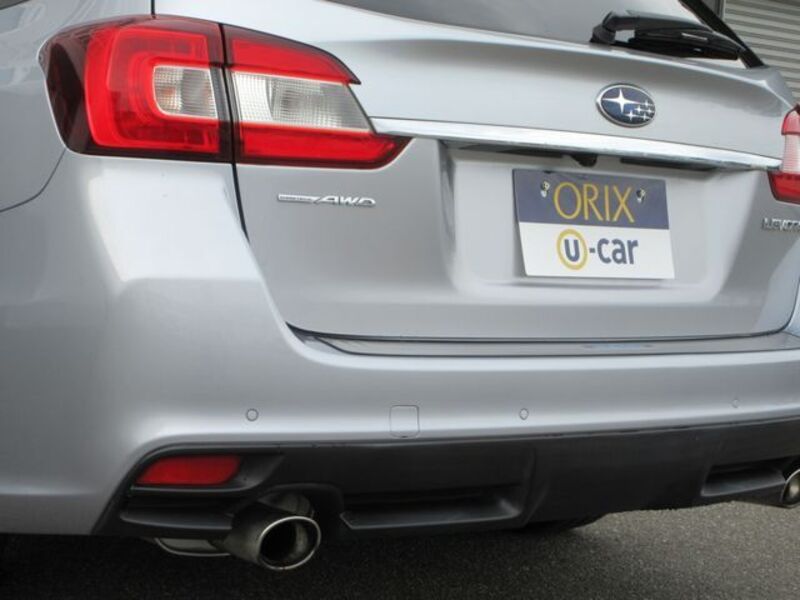 LEVORG