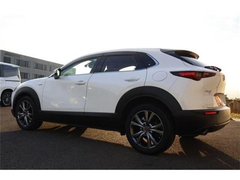 CX-30