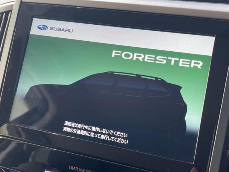 FORESTER