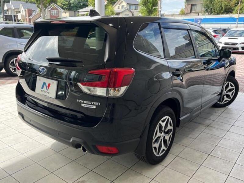 FORESTER