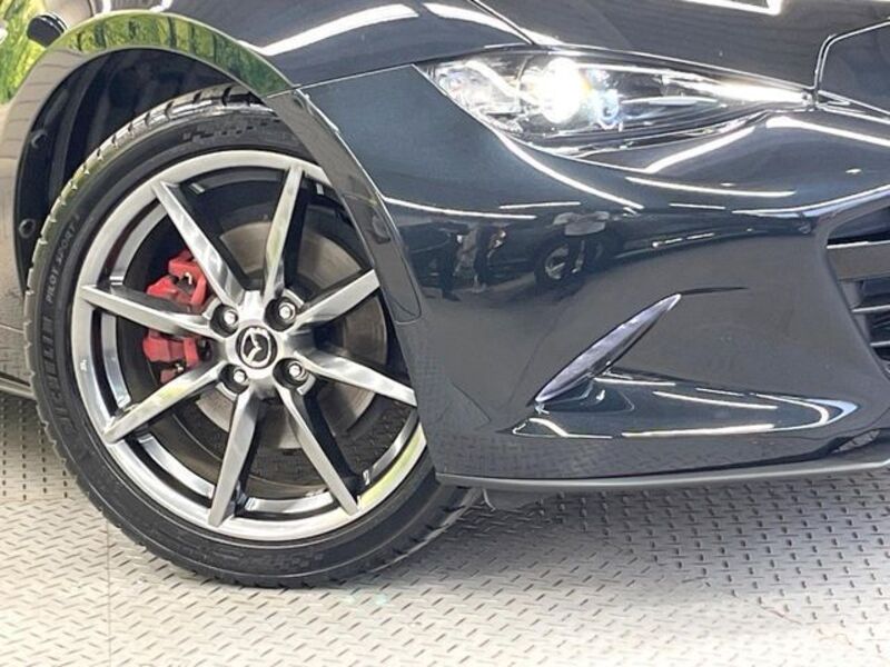 ROADSTER RF
