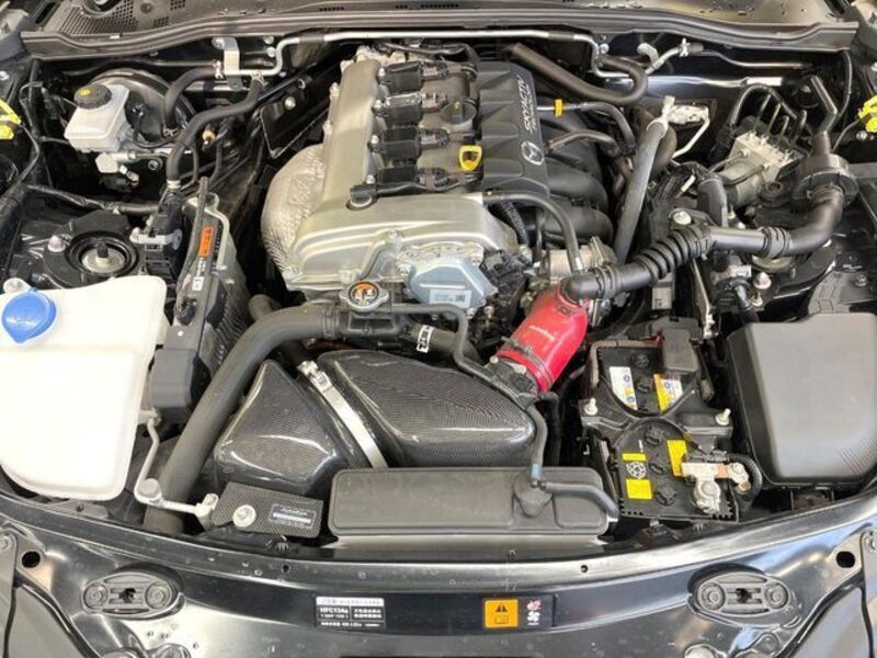 ROADSTER RF