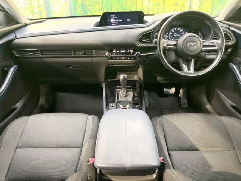 CX-30