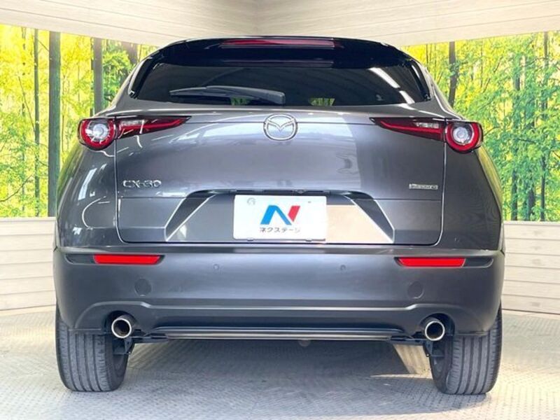 CX-30