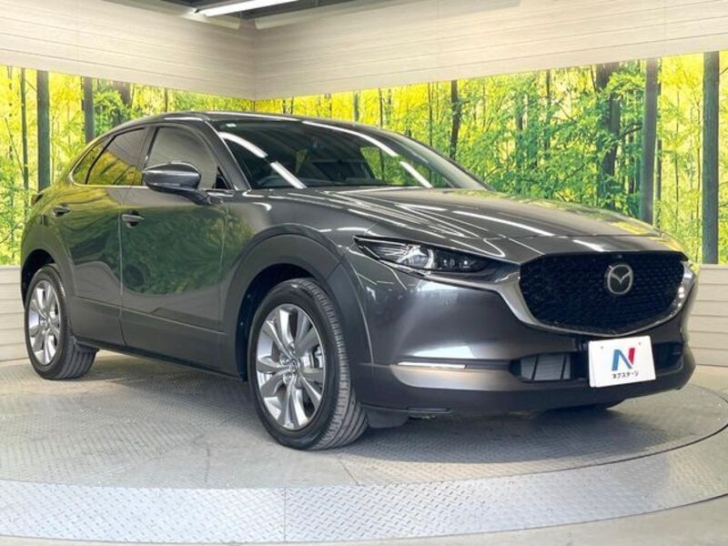 CX-30