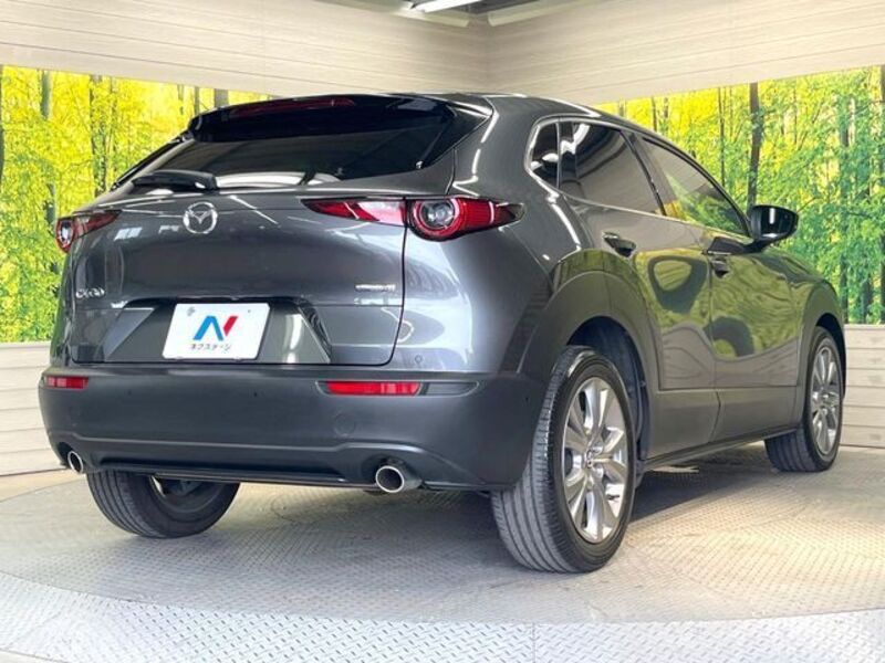 CX-30