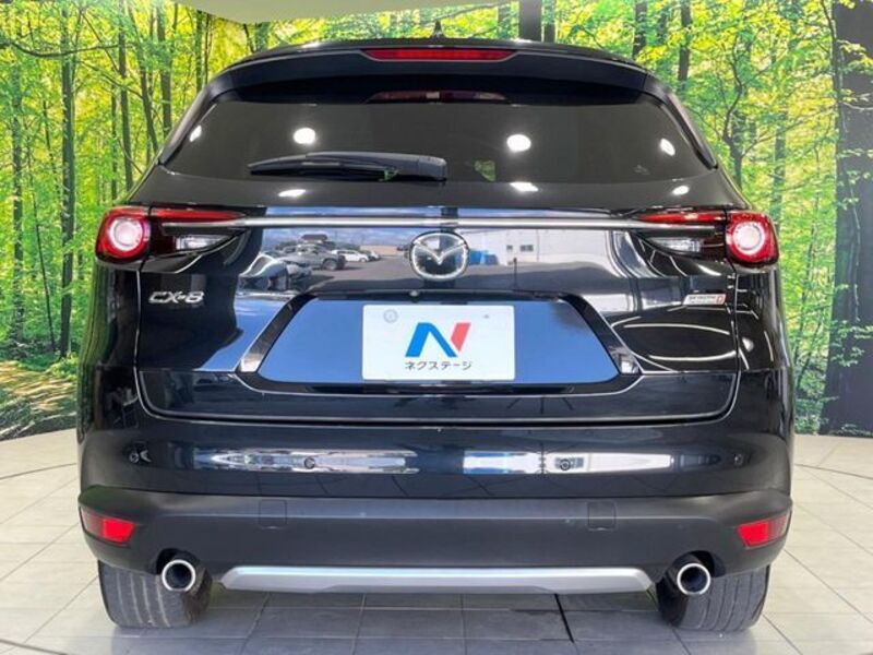CX-8