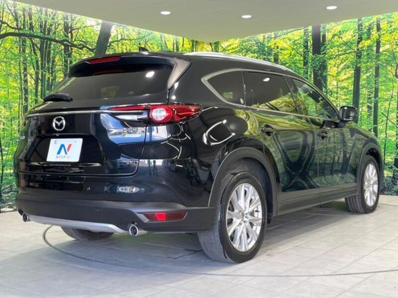 CX-8