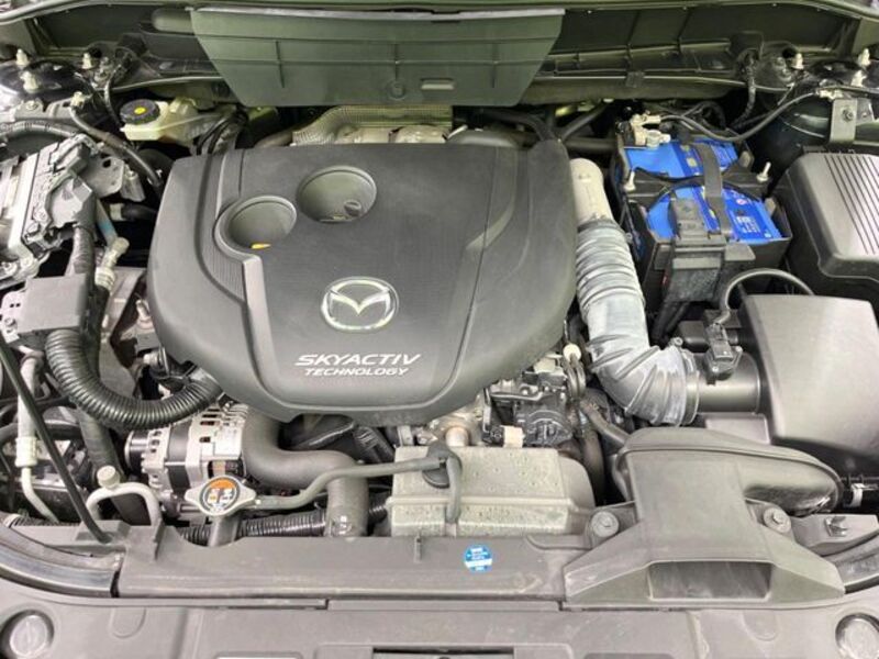 CX-8
