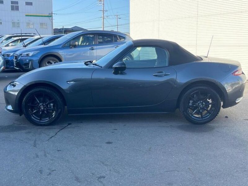 ROADSTER