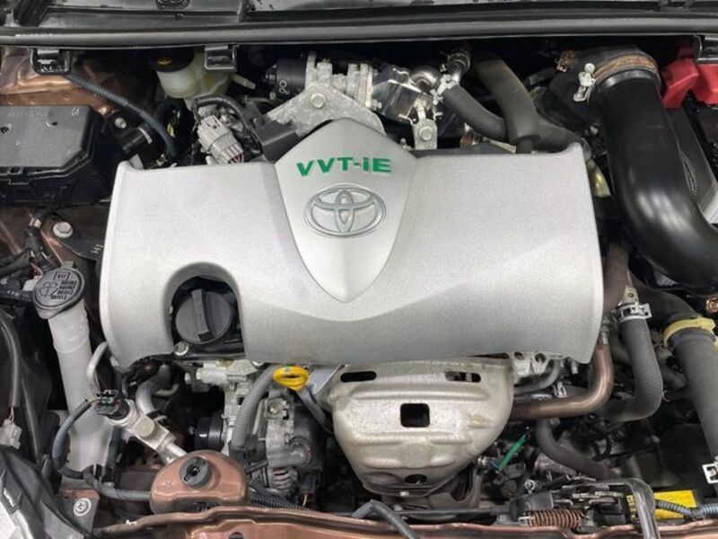 VITZ