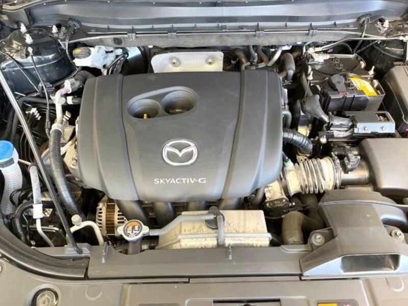 CX-8