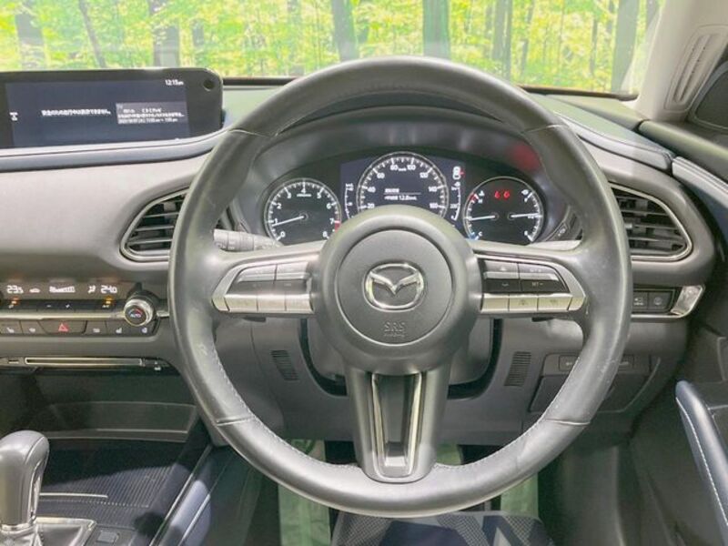 CX-30