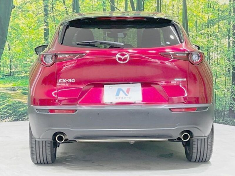 CX-30