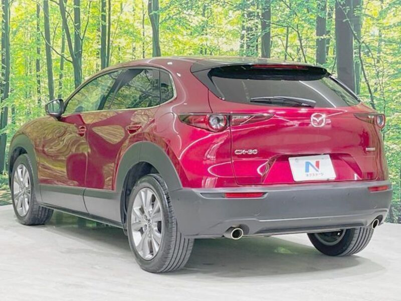 CX-30