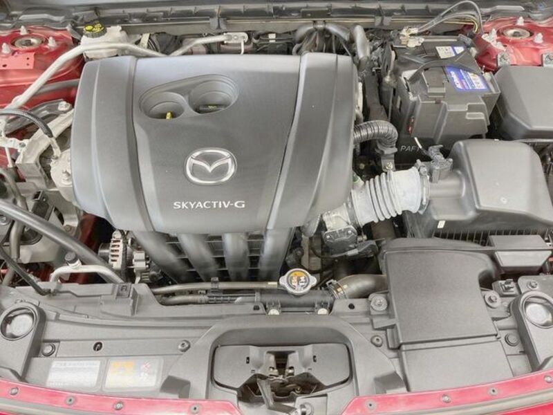 CX-30