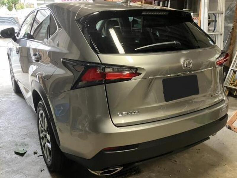 NX