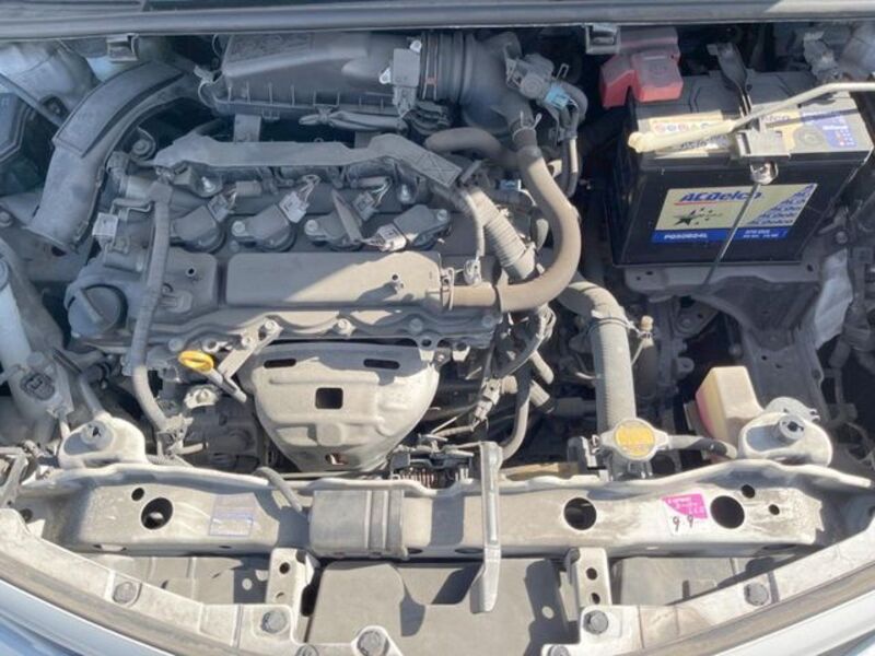 VITZ