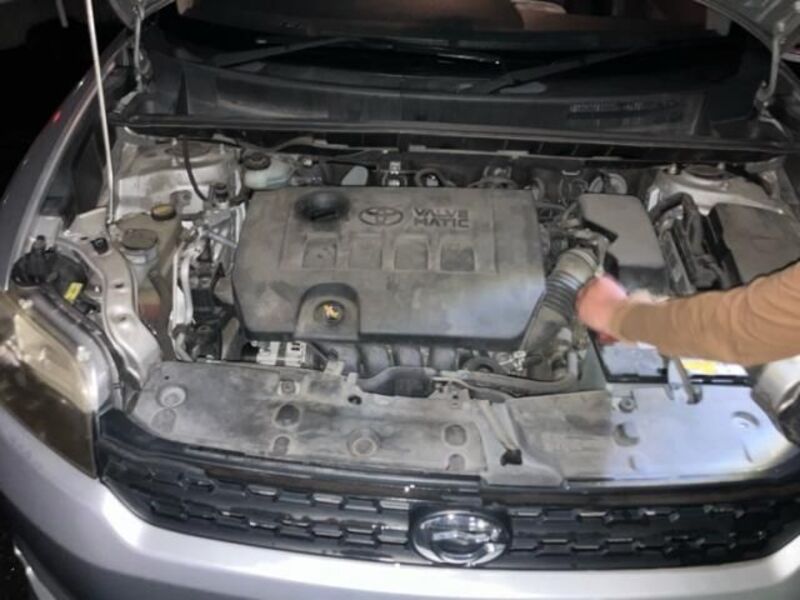 COROLLA RUMION