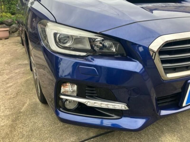 LEVORG