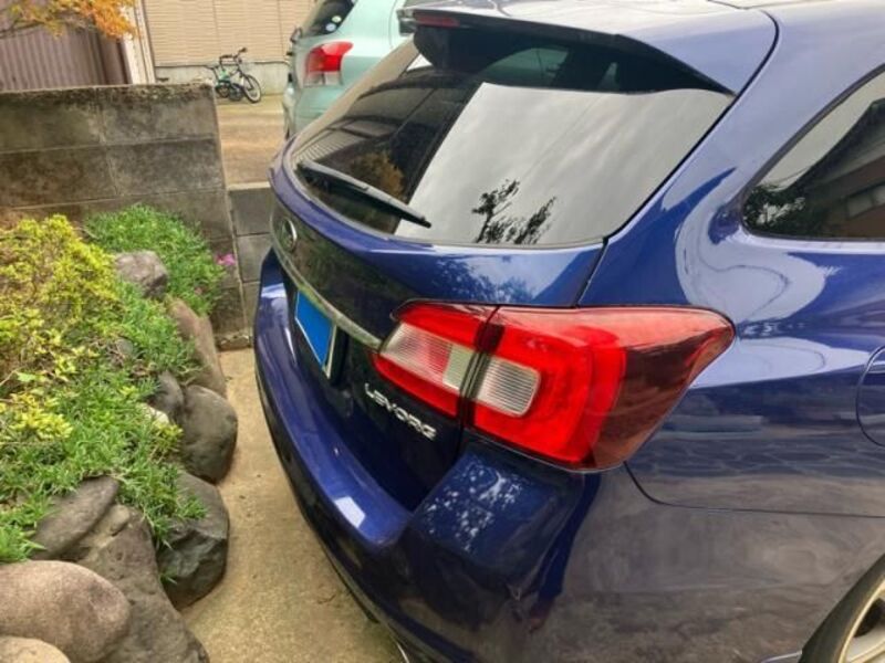LEVORG