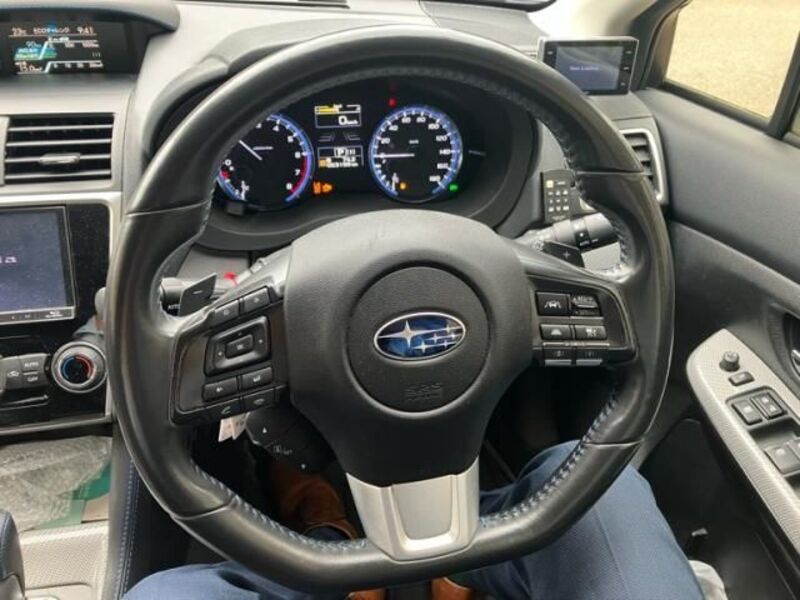 LEVORG