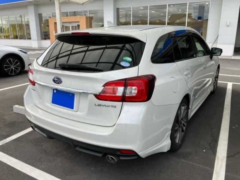 LEVORG