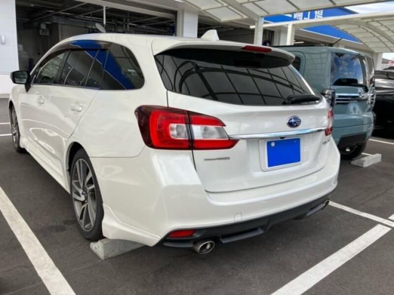 LEVORG