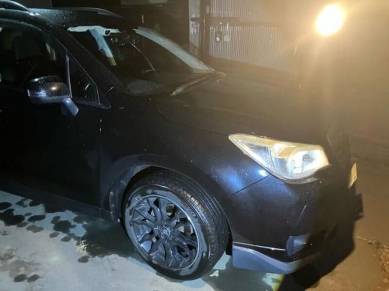 FORESTER