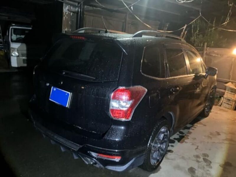 FORESTER