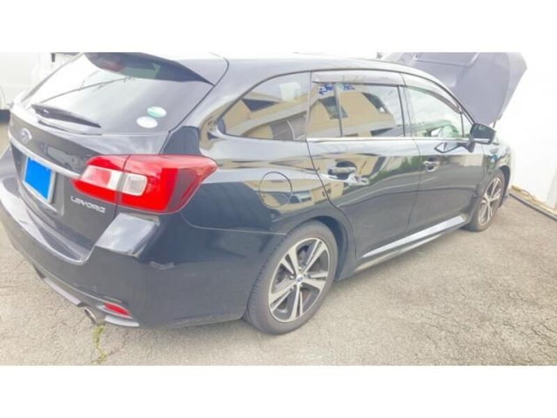 LEVORG