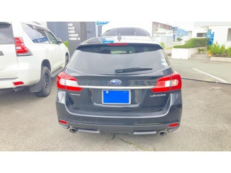 LEVORG