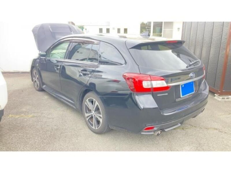 LEVORG