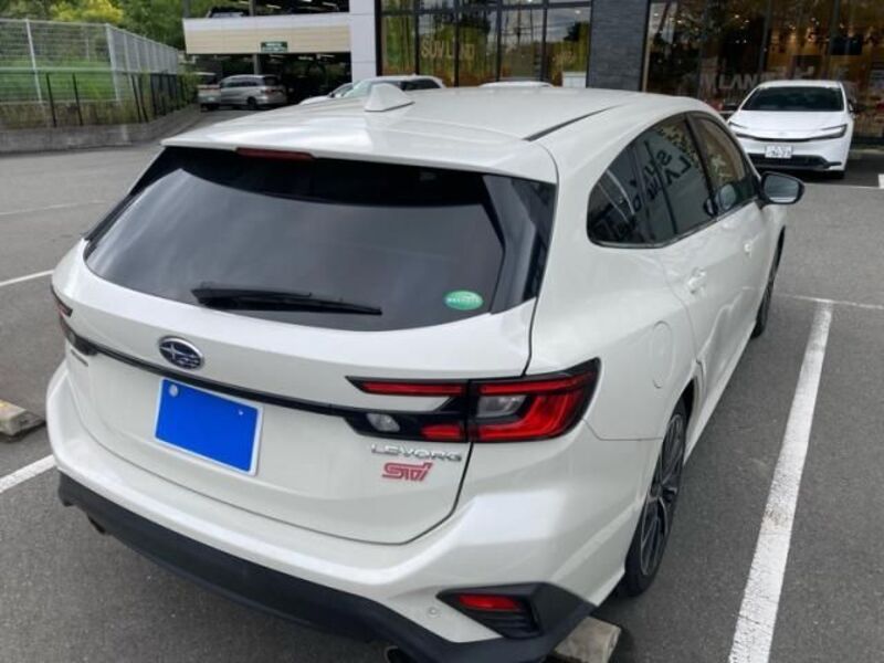 LEVORG