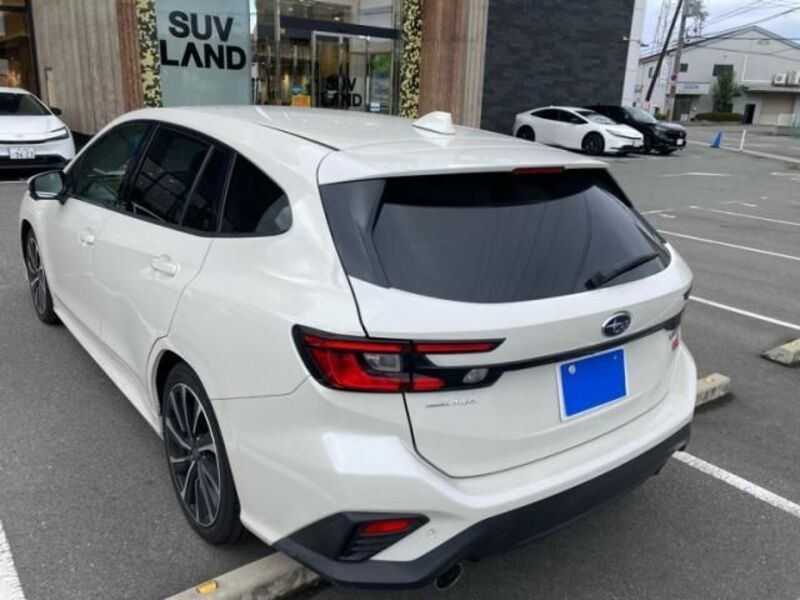 LEVORG