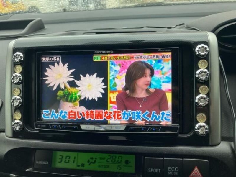 WISH