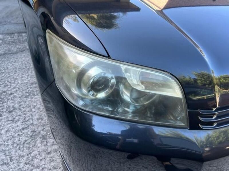 COROLLA RUMION