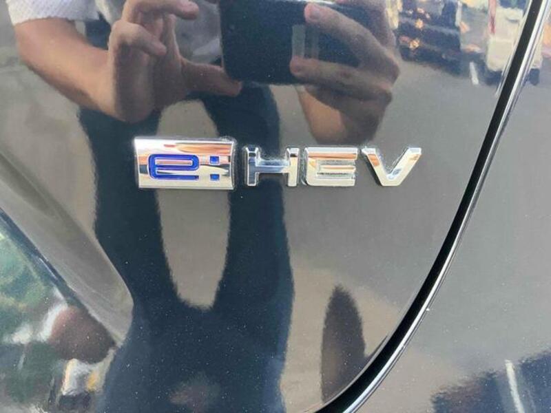 VEZEL
