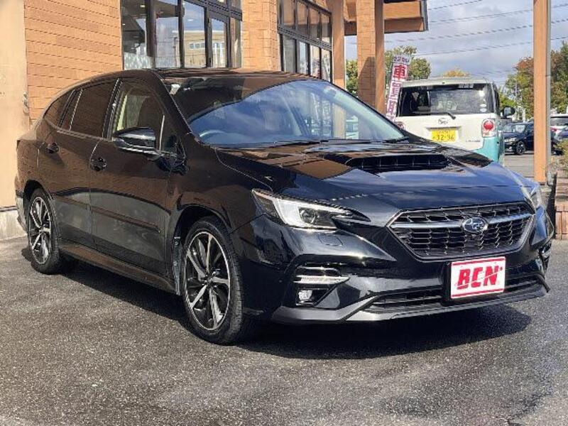 LEVORG