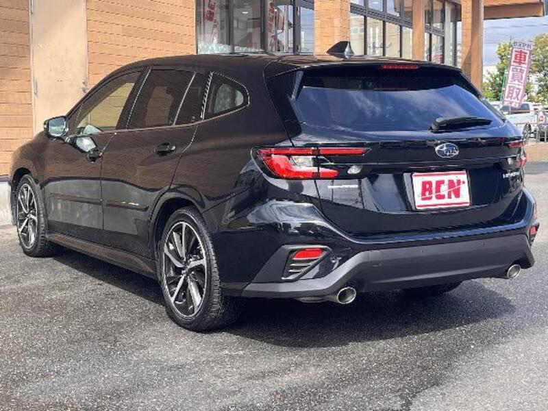 LEVORG