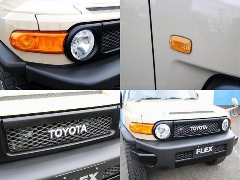FJ CRUISER